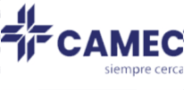 Camec